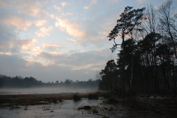 Landschapfotografie tips